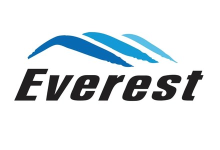 Логотип Everest